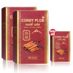 cordyPlus1ถั่งเช่าทิเบต 2 แถม 1 2140