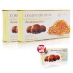 Cordyceps Plus เห็ดหลินจือแดงผสมถั่งเช่าสีทอง 2 แถมเห็ดหลินจือสกัด 1 1650