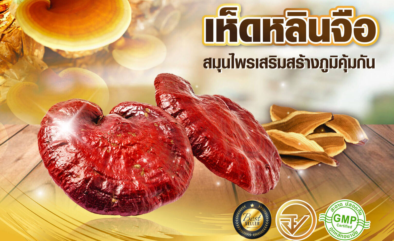 เห็ดหลินจือ