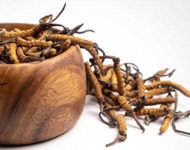 ถั่งเช่าทิเบต