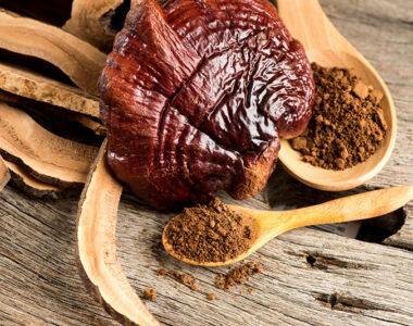 เห็ดหลินจือ