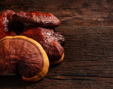 เห็ดหลินจือ