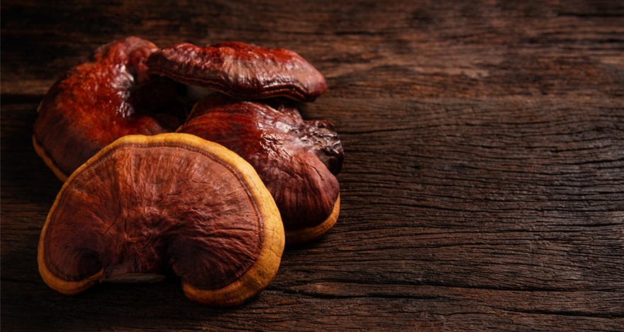 เห็ดหลินจือ