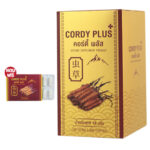 ถั่งเช่า